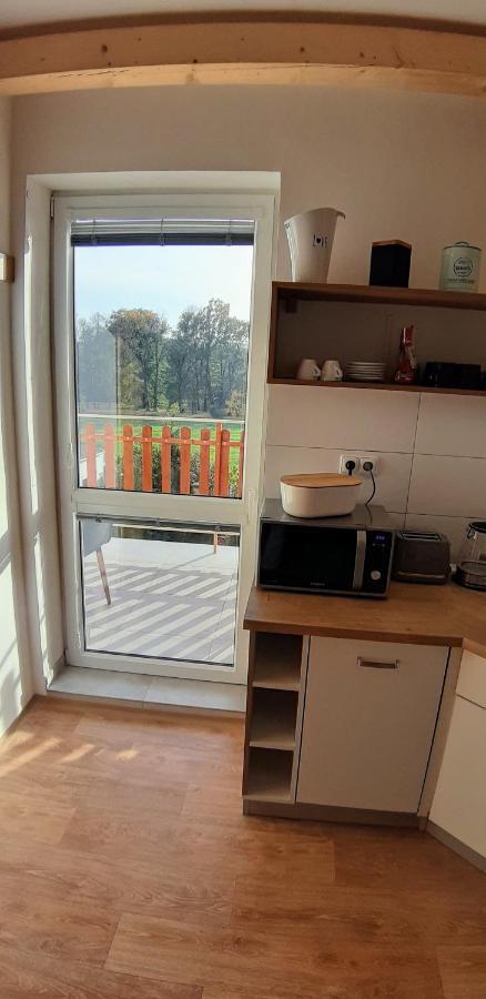 Three Apartment Františkovy Lázně 外观 照片