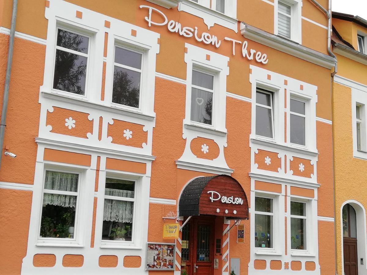 Three Apartment Františkovy Lázně 外观 照片